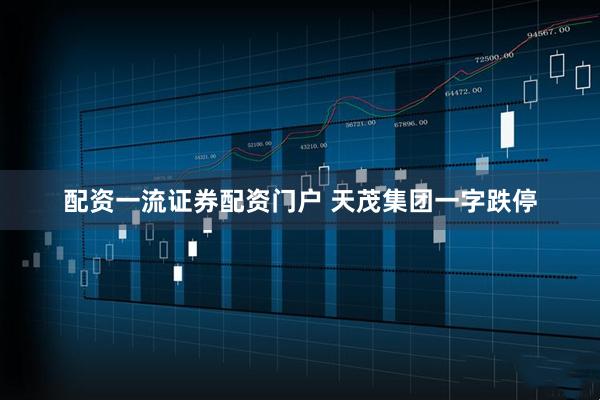 配资一流证券配资门户 天茂集团一字跌停